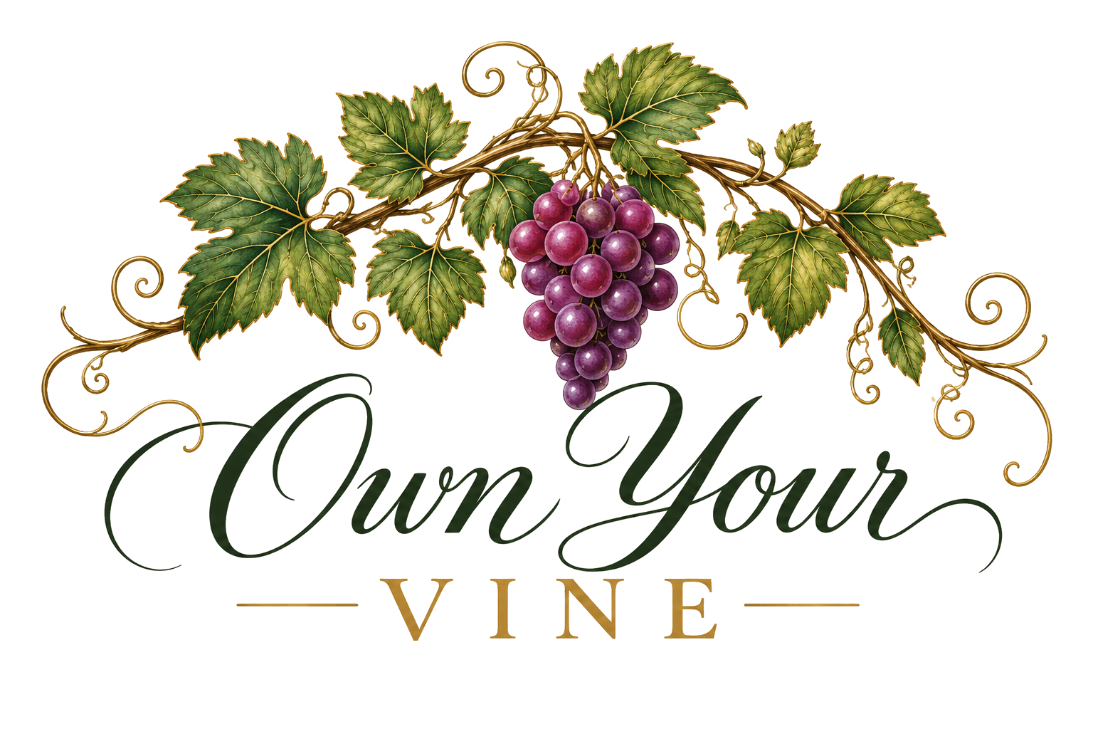 Own Your Vine